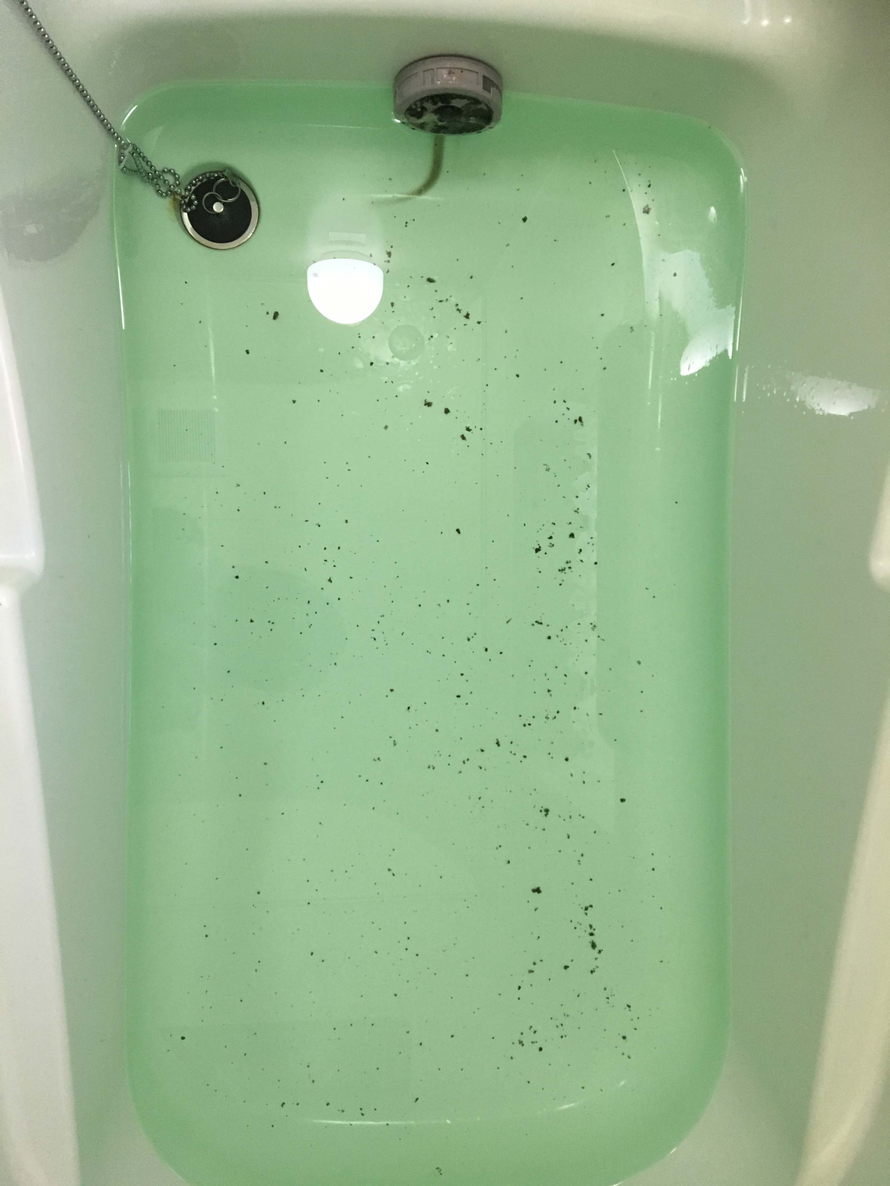 お風呂の黒い汚れが酷くて入れない お風呂の汚れに追いだき配管掃除 N Clean エヌクリーン